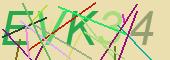Party captcha